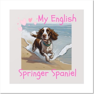 English Springer Spaniel on the beach Posters and Art